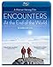 Encounters at the End of the World [Blu-ray] [Import italien]