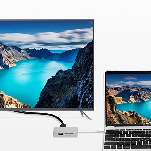 RicoRich 6 in 1 USB 3.0, USB C HUB mit HDMI Ausgang, SD & Micro SD Kartenleser, Power Delivery Aufladen für neues MacBook Pro, CharmeBook Pixel und Mehr (Silber) - 7