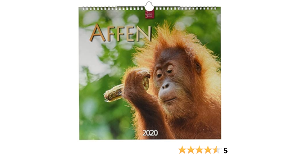 Affen Original Sturtz Kalender Mittelformat Kalender 33 X 31 Cm Redaktion Verlagshaus Wurzburg Bildagentur Amazon De Bucher