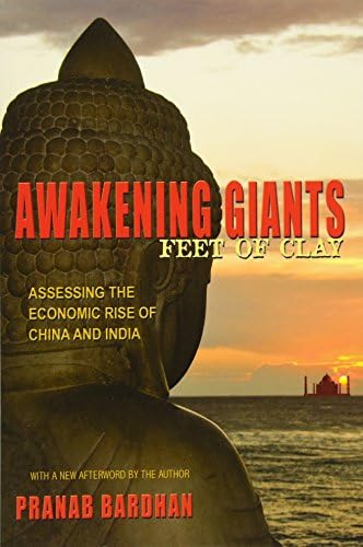Awakening Giants, Feet of Clay: Assessing the Economic Rise of China and India