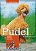 Produktbild Pudel: Charakter, Erziehung, Gesundheit