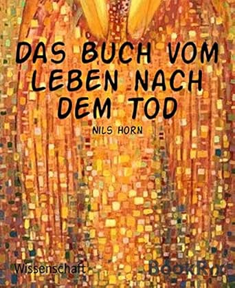 Das Buch Vom Leben Nach Dem Tod Neue Beweise Nahtodforschung Das Richtige Sterben Reinkarnation Erleuchtung Und Paradies Ebook Horn Nils Amazon De Kindle Shop