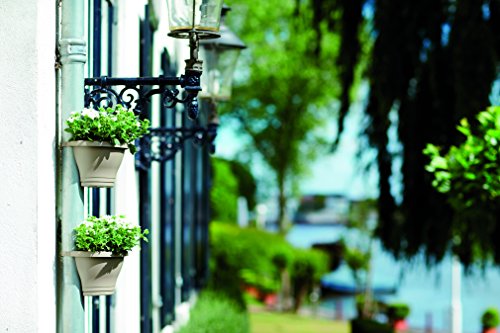 elho Corsica Regenrohr Pflanzgefäss 24cm – Anthrazit - 5