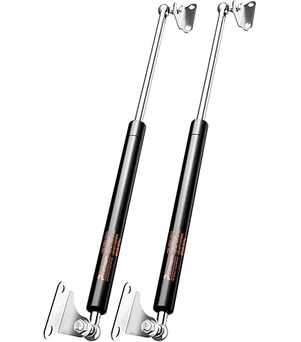 ARANA 380 Mm 245N 25 Kg Gas Struts 40 Cm Furniture Gas Spring Shock Absorber Hydraulic Holder For Cabinet Door Tool Toy Box And Creative DIY Applications, Pack Of 2