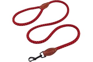 AllPetSolutions Rope Dog Lead - Heavy Duty Walking, Running, Outdoor Training Lead for Dogs - Anti-Tangle Leash with 360 Hook, Strong Clip, Easy Grip Loop Handle - Red/Black, Braided Nylon, 120cm