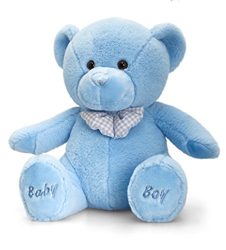 blue baby teddy bear