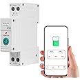 Auslese® 1P 63A WiFi Smart with Power Monitoring Manual Remote Voice Control Circuit Breaker for EV Charger Metering Overcurrent Protection Timer AC, Geyser, Water Pump, Room Heater Heavy Duty
