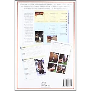 La salud del caballo: Una rápida guía de referencia para diagnosticar problemas veterinarios comunes (El Mundo Del Cab