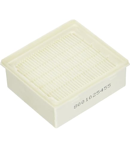 MisterVac compatibile con Filtro di ricambio filtro Bosch VBBS07Z35M FD9811