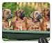 Produktbild Mamma mia! Mouse Pad, Mousepad (Dogs Mouse Pad)