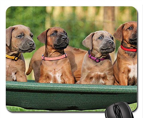 Preisvergleich Produktbild Mamma mia! Mouse Pad, Mousepad (Dogs Mouse Pad)