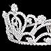 PIXNOR Wedding Prom Bridal Crown Rhinestone Crystal Decor Headband Veil Tiara (Sliver)