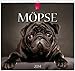 Möpse 2014: Original Stürtz-Kalender - Mittelformat-Kalender 33 x 31 cm [Spiralbindung] by 