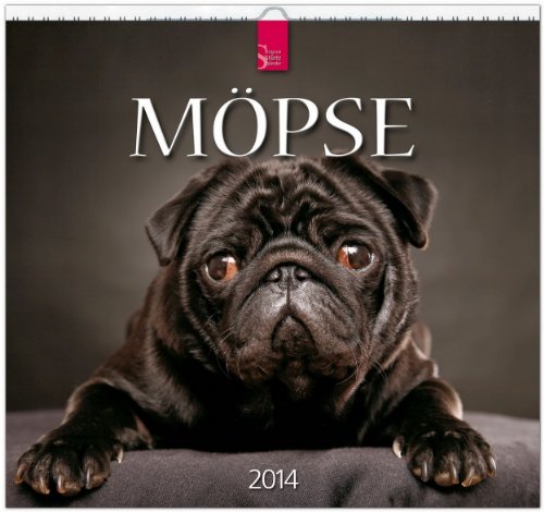 Möpse 2014: Original Stürtz-Kalender - Mittelformat-Kalender 33 x 31 cm [Spiralbindung]