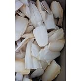 PureCanpati Small Boy Kalamar Kemiği, 100 Gram