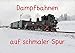 Produktbild Dampfbahnen auf schmaler Spur (Posterbuch DIN A4 quer): Erleben Sie die Vielfalt dampfbetriebener Schmalspurbahnen (Posterbuch, 14 Seiten) (CALVENDO [Taschenbuch] [Mar 13, 2013] Bujara, André