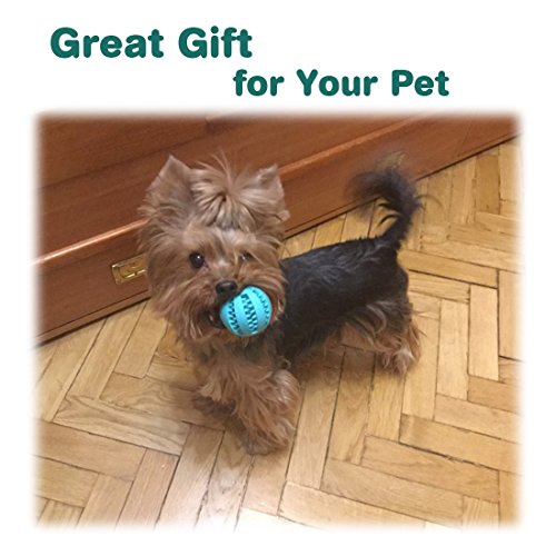 Idepet-Dog-Toy-Ball-Nontoxic-Bite-Resistant-Toy-Ball-for-Pet-Dogs-Puppy-Cat-Dog-Food-Treat-Feeder-Tooth-Cleaning-Ball-Dog-Pet-Chew-Tooth-Cleaning-Ball-Pet-Exercise-Game-Ball-IQ-Training-ball