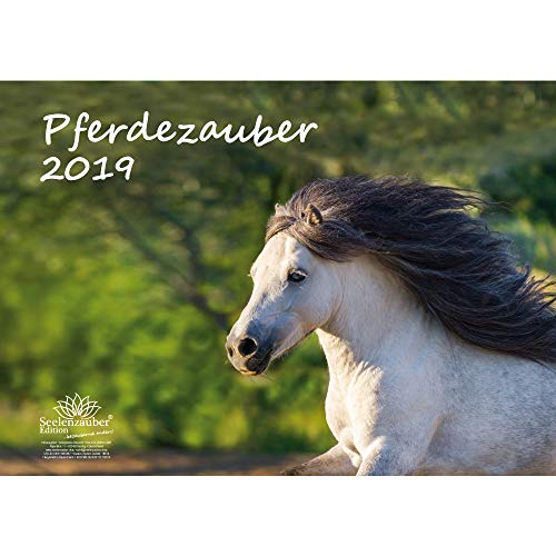 Download Cheval magique – Format A3 – Haute Calendrier 2019 – Cheval – Equitation – – Hengst – jument avec poulain – Coffret cadeau avec 1 carte de vœux et 1 carte de Noël – Édition âme magique Download Cheval magique – Format A3 – Haute Calendrier 2019 – Cheval – Equitation – – Hengst – jument avec poulain – Coffret cadeau avec 1 carte de vœux et 1 carte de Noël – Édition âme magique