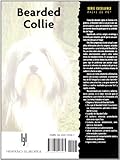 Image de Bearded Collie