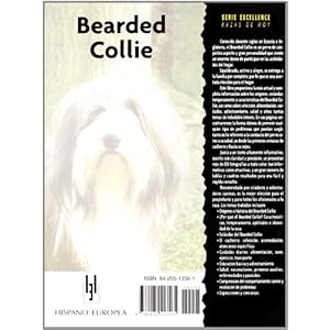 Bearded Collie