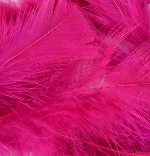 Midwest Design Flat Turkey Feathers 14G-Raspberry Sorbet