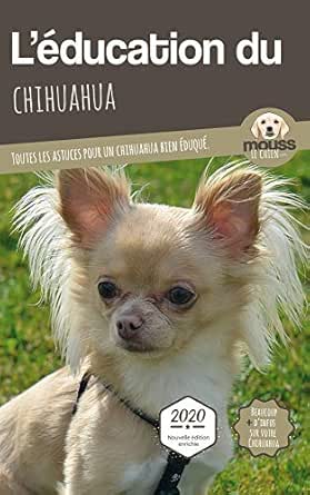 chihuahua l
