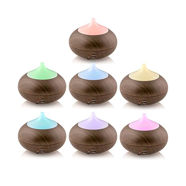 Pro Breeze® Vase Aroma Diffuser Humidifier with 2 Interchangeable Tops