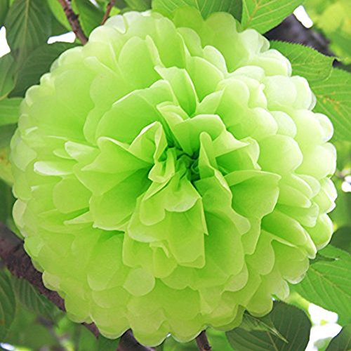 10er Pompoms, BDM Pompons DIY Papierblumen Dekoration für Hochzeit/Geburtstag/ Baby Shower/ Weihnachten Grün Seidenpapier Blumen - 2