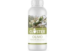 CLOSTER Concime Liquido concentrato per Olivo con Azoto Rame Fosforo e Potassio - 1 Litro 1,2 kg - con Chelati di Ferro Fertilizzante Piante Verdi per Interno, Giardino e Orto, Per Ulivi