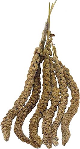 Millet Spray China Yellow 15kg