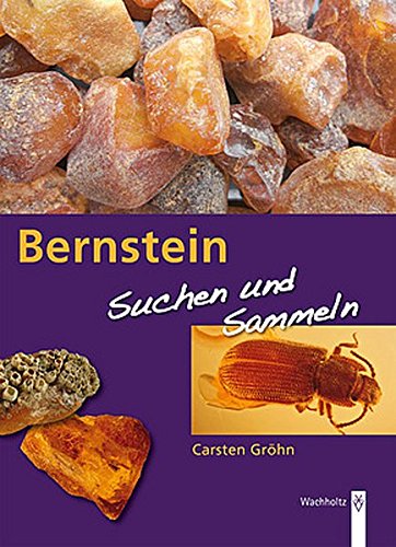 Preisvergleich Produktbild Bernstein: Suchen und sammeln