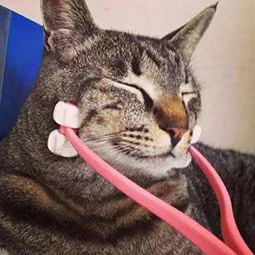 Aolvo Cat Massage Roller, Thin Face Massage Roller Relaxer, Feet Legs Massager Relief Slimming Grooming Tool for Pet Cats Dogs - Color Random - Large