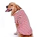 Produktbild POPETPOP Hunde Baumwolle Weste T-Shirt Hundebekleidung Haustier Große Hunde Outfit Größe S (Rot und weiß)