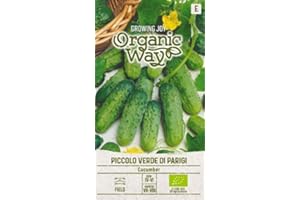 Organic Way | PARIS GREEN SMALL Semillas de pepino | Semillas de hortalizas | 1 paquete