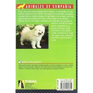 Samoyedo