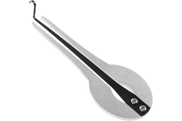 Abaodam Guimbarde Instrument De Musique Ethnique, Harpe À Bouche En Métal Portable Pour Débutants, Jaw Harp Traditionnelle Pour Relaxation, Argent, 12.4cm
