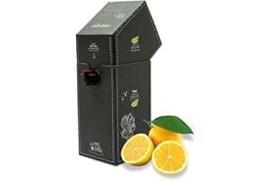 ALPHACHOICE JuiceBox Lemon Syrup - 2 Litres, Makes 22 Litres of Refreshing Ready-to-Drink Drink, Environmentally Friendly, Plant-Based, Tasteful and a Responsible Choice for Sustainable Hydration