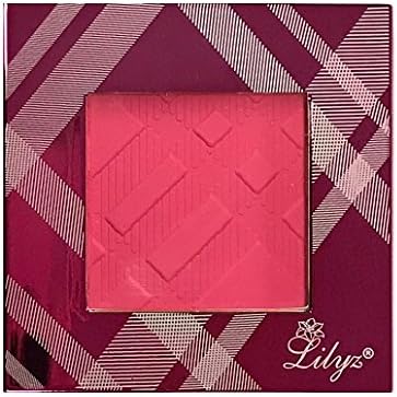 Lilyz Multi-Function Matte Eyeshadow Blusher Blush Bronzer Face Contour Compact with Hot Pink High Shine Case 3.5g (10# Raspberry Ripple-Hot Pink Case)