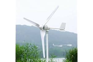 GENWAY 2000W Orizzontale Turbina Eolica 24V 48V Aerogeneratore 2KW Generatore di vento orizzontale con regolatore di carica di vento Set Completo 3 Pale Uso domestico residenziale