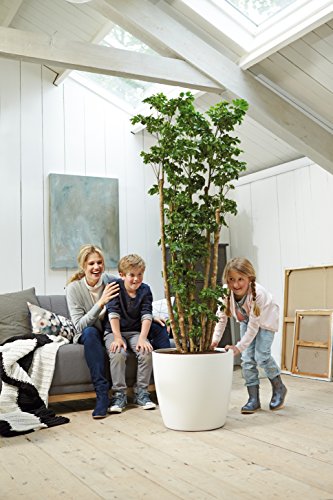 elho Brussels Rund Rollen Blumentopf 47cm – Weiss - 4