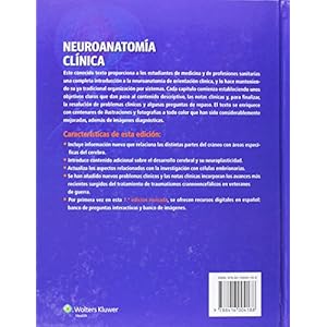 Neuroanatomia clinica / Clinical Neuroanatomy