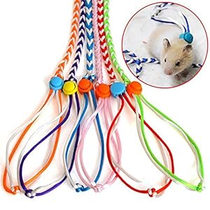 Lembeauty Arnés Ajustable para Hámster con Correa para Mascotas Pequeñas, Cuerda de Tracción para Ratón, Ardilla, Entrenamiento y Salir (Color al Azar)