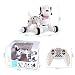 Catterpillar Programmable Educational Smart Intelligent Dog with 28 Interactive Remote Controlled Activities RS.2799.00