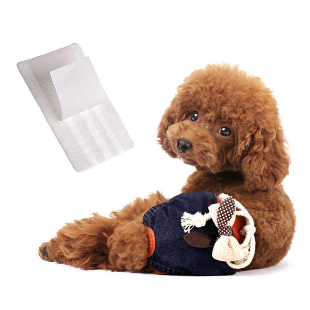 Hamkaw Disposable Dog Diaper Liners Super Absorbent LeakProof Use