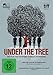Under the Tree