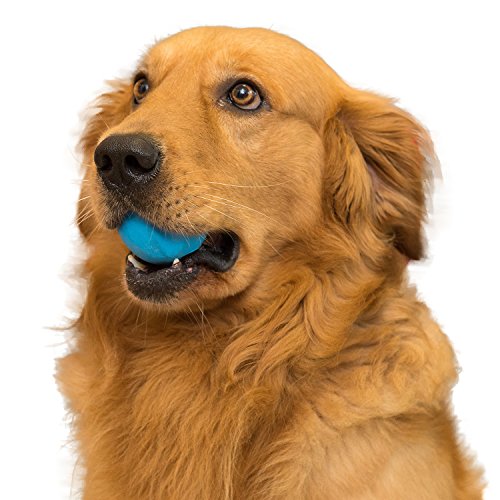 Snug-Solid-Rubber-Dog-Balls-Wave-Shaped-Chew-Toy-Tennis-Ball-Size-Virtually-Indestructible-2-Pack