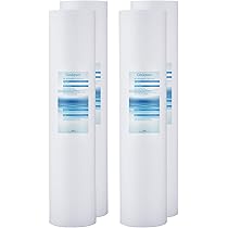 10 Zoll Filtergehäuse blauer Kopf Entlüfter Messinggewinde 1 Zoll