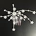 Txian Wedding Bridal Bridesmaid Flower Crystal Rhinestones Hair Comb Clip (Medium)