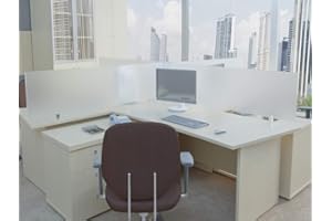 ECOFOXX Echtglas Tischtrennwand Akustik Bürotisch Sichtschutz Sichtblende ESG Milchglas Klarglas Schwarzglas (Milchglas, 90x40cm)