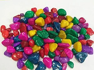 Maalavya Multi Coloured B Size Pebbles